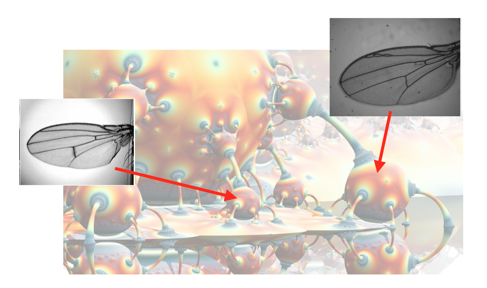 interesting-topological-spaces-in-algebraic-geometry